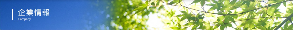 企業情報